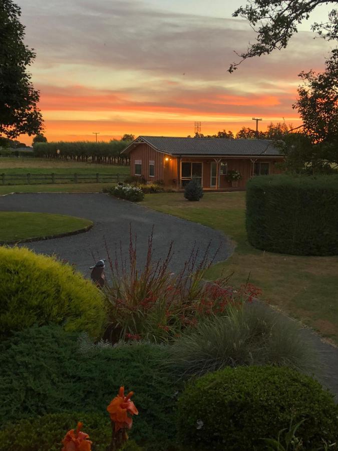Walnut Lodge B&B マタマタ エクステリア 写真